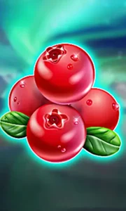 Winterberries